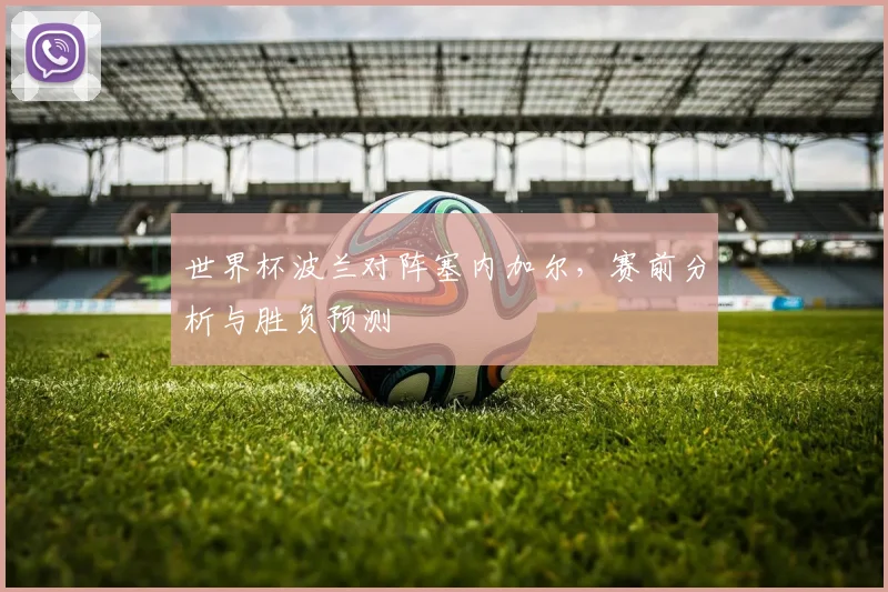 世界杯波兰对阵塞内加尔，赛前分析与胜负预测