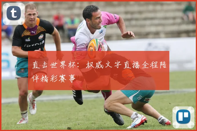 直击世界杯：权威文字直播全程陪伴精彩赛事