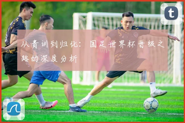 从青训到归化：国足世界杯晋级之路的深度分析