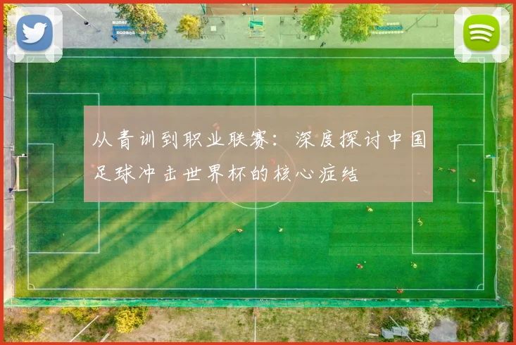 从青训到职业联赛：深度探讨中国足球冲击世界杯的核心症结